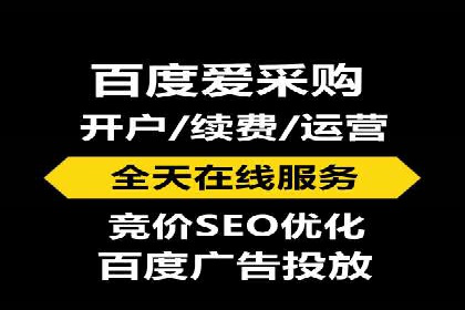 竞价排名在搜索引擎营销中的运用案例